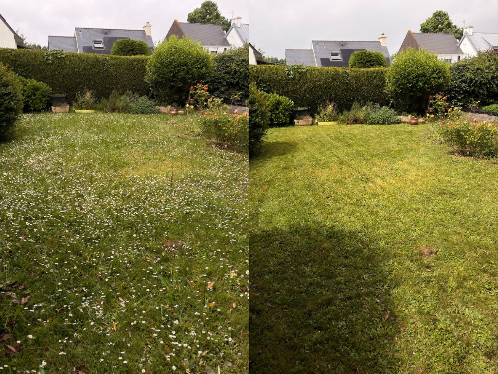 design sans titre